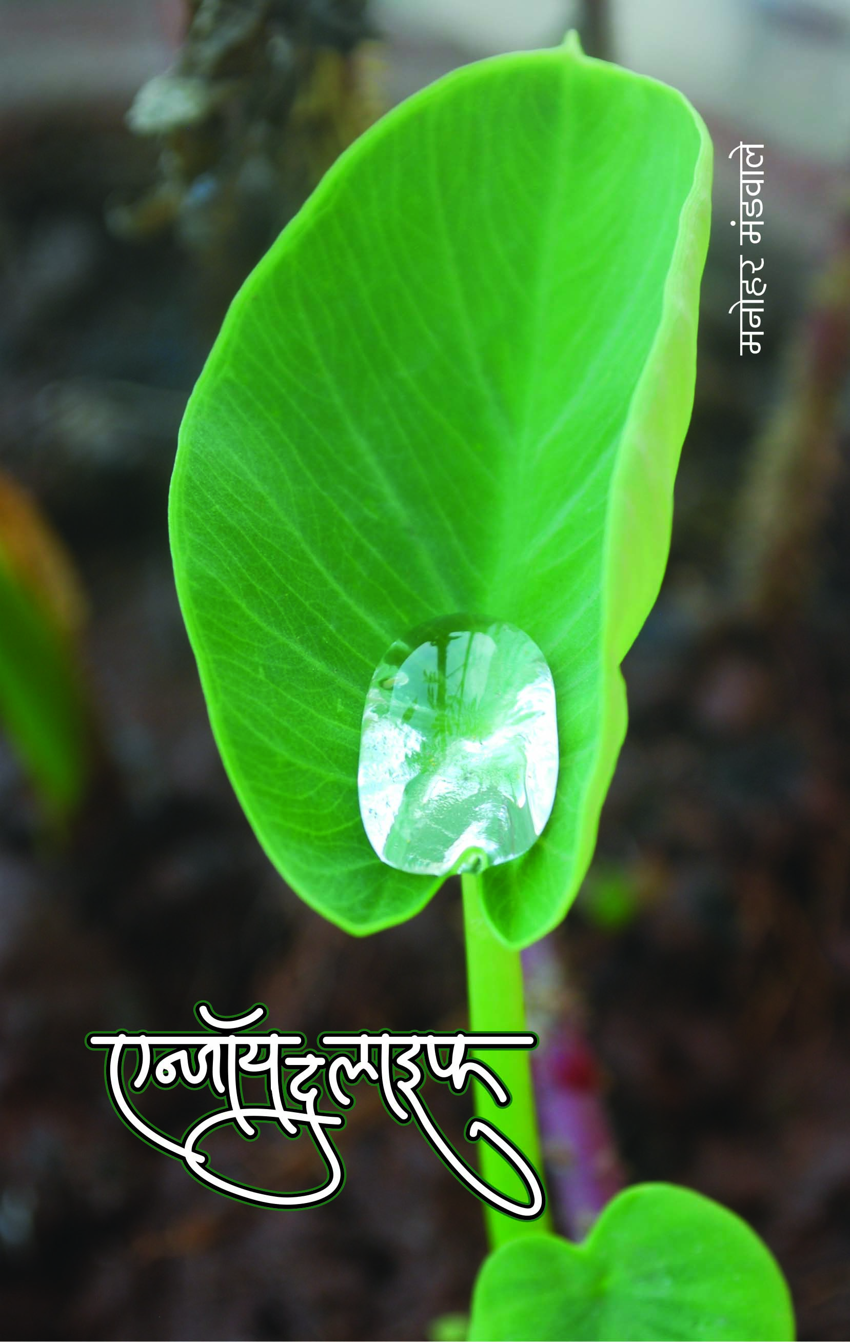 एन्जॉय द लाईफ 